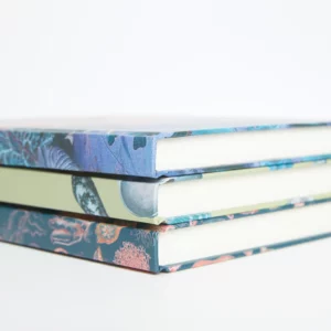 מוצרי נייר Adults